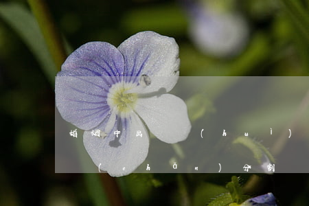 婚姻中出軌會(huì)影響財(cái)產(chǎn)分割嗎？